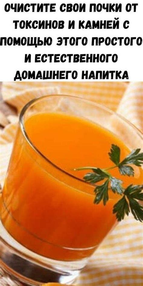 Поддержание баланса в кишечнике с помощью домашнего настойного напитка 