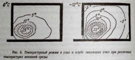 Поддержание оптимальной температуры для защиты бегонии от переохлаждения