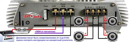 Подключение кабеля с тюльпановыми разъемами от регулятора низких частот к усилителю