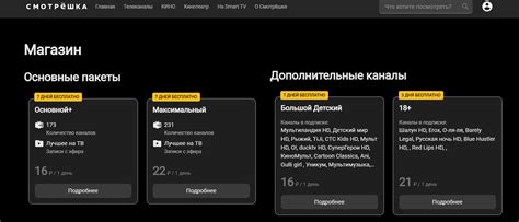 Подключение каналов и пакетов в МегаФон ТВ: варианты доступа и выбор
