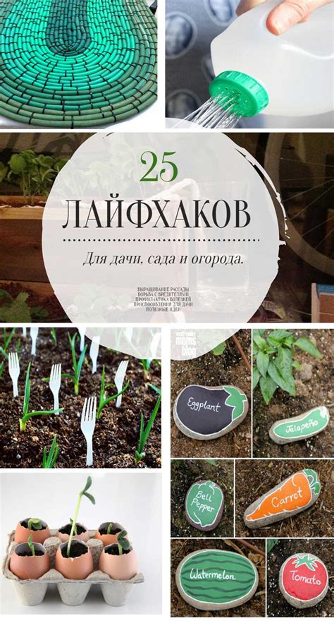 Подсказки и лайфхаки для максимального использования функционала календаря