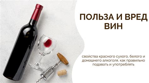Подсказки по правильному сохранению и оценке домашнего альтернативного алкоголя
