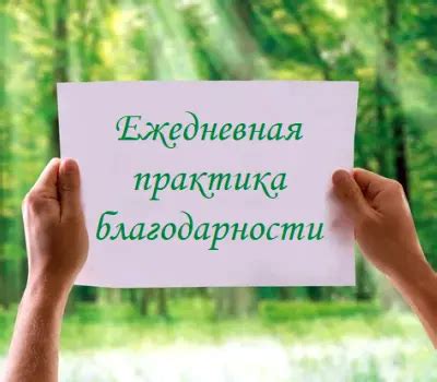 Позитивная практика благодарности: путь к преодолению тоски
