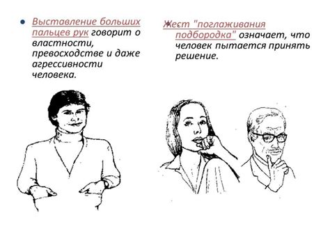 Позиция ушей и ее влияние на коммуникацию