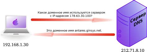 Поиск в DNS-кеше: обнаружение доменного имени по IP-адресу