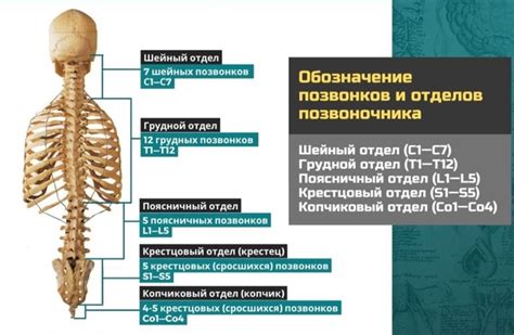 Поиск согласия: выяснение подходящей терминологии для обозначения проживающих в местечке Речица