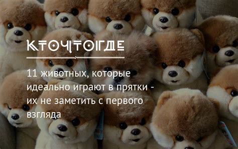 Показатели искренности, которые можно заметить с первого взгляда