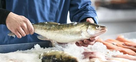 Покупка и подготовка свежей рыбы: рекомендации для безопасности и вкуса