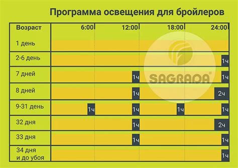 Полезные рекомендации по подбору качественной куриной птицы и оптимального пакета для приготовления