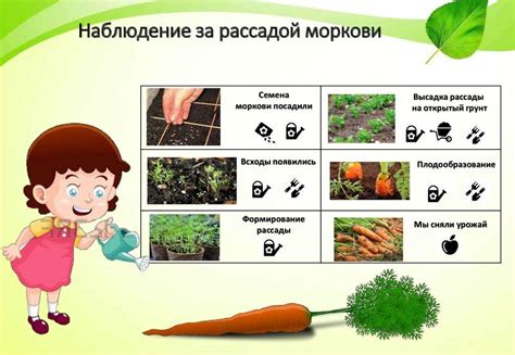 Полезные рекомендации по уходу за посадками в осеннее время