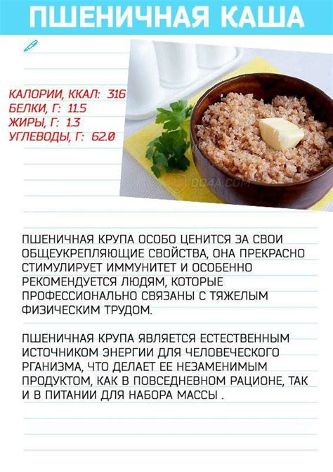 Полезные свойства пшеничной каши на молоке и ее значение в рационе питания