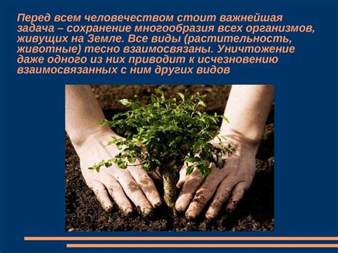 Положительное влияние ормуса на наше здоровье и самочувствие