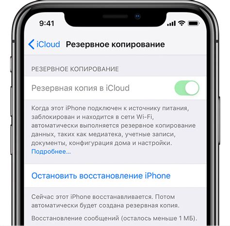 Получение информации об аккаунте iCloud с помощью iTunes