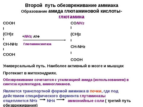 Польза глютаминовой кислоты