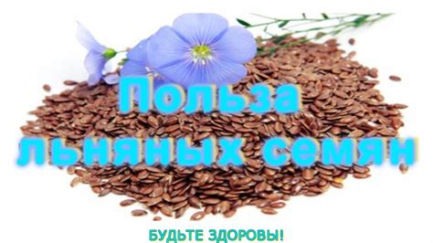 Польза льняных семян в рационе вегетарианцев и веганов