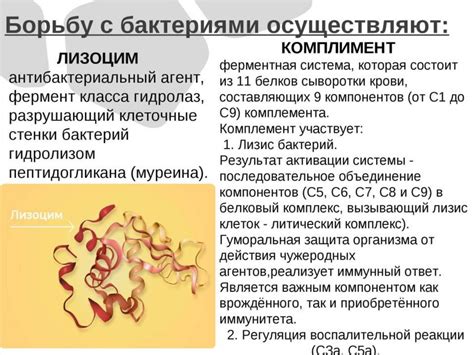 Польза применения препарата при бактериальных инфекциях