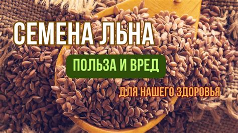 Польза слизи из льна для организма