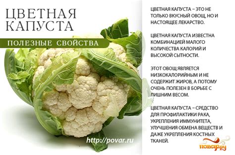 Польза соленой капусты для организма
