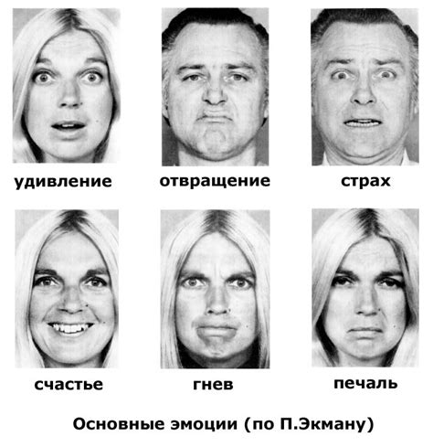 Понимание важности эмоций в человеческом поведении и их признание в нашей жизни