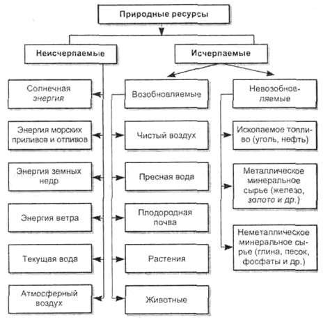 Понимание и особенности природных ресурсов