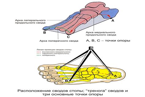 Понятие неприятного поражения на подошве стопы и его основные проявления