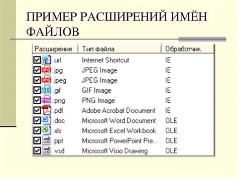 Популярные форматы файлов и их значимость