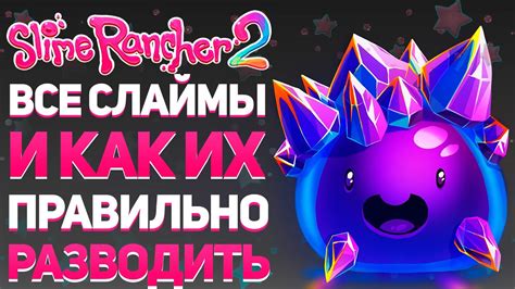 Последние новости и свежие обновления для ранца нового поколения в игре Слайм Ранчер 2