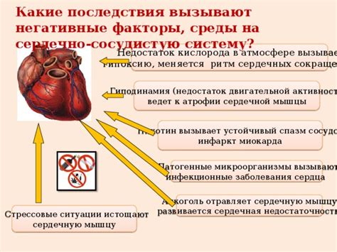 Последствия дисбаланса сердечной активности: необходимая информация