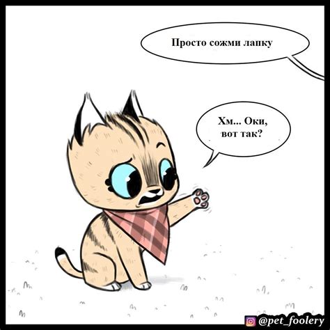 После процедуры: забота о спрятанных когтях и поощрение маленького праздника