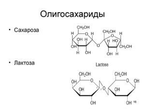 Постепенное увеличение потребления олигосахаридов
