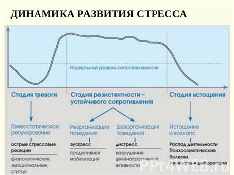 Постепенно наращивайте интенсивность воздействия для преодоления фосмофобии