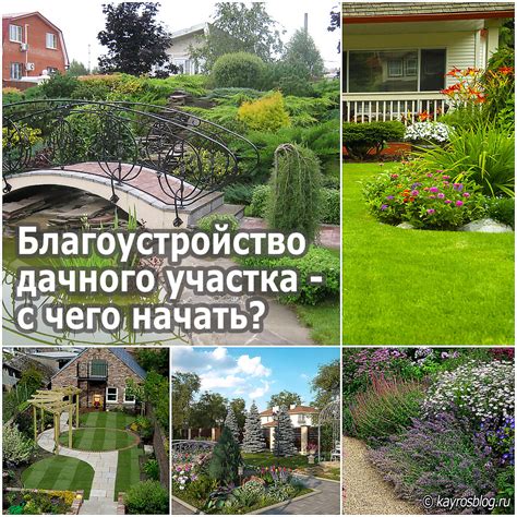 Построение базовой структуры грибного участка: с чего начать