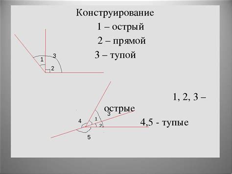 Построение кривых и углов