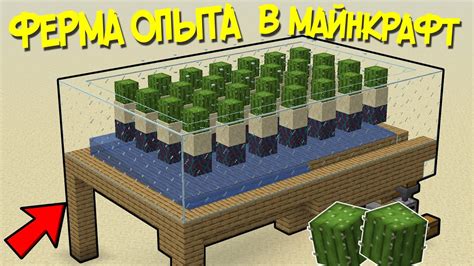 Построение эффективной фермы для получения большего опыта в Майнкрафте