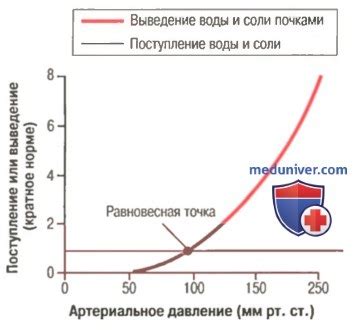 Потенциальные факторы и опасности повышенного кровяного давления