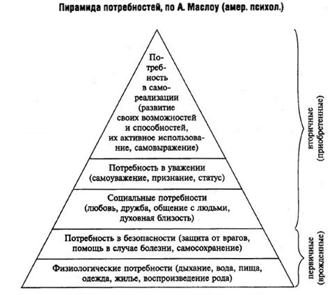 Потребности и особенности в уходе за шяхярди
