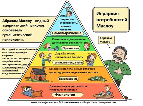 Потребности людей и животных: схожести и отличия в их иерархии