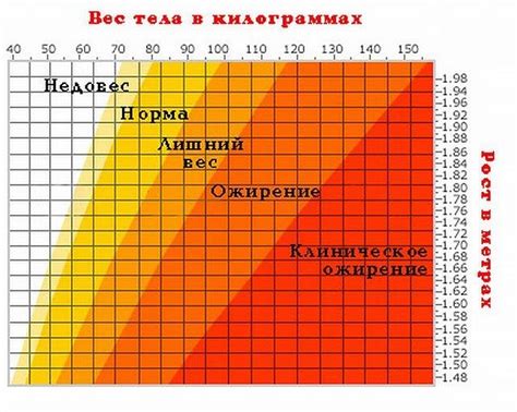 Почему интернет-калькуляторы полезны для определения оптимального веса