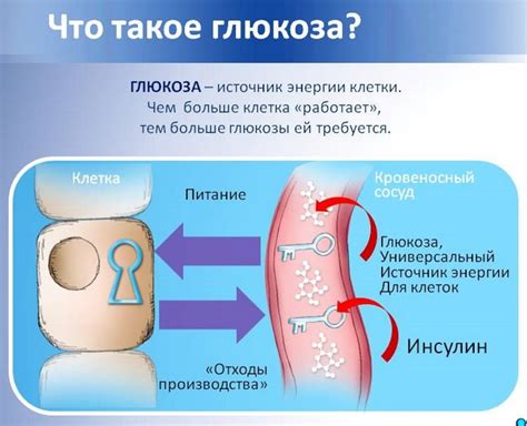 Почему используют глюкозу 10 процентную внутривенно