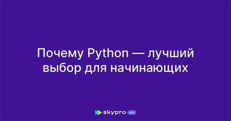 Почему Python - превосходный выбор для разработки программы, отслеживающей ввод с клавиатуры