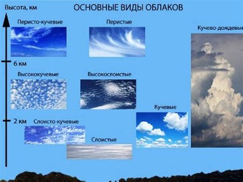 По внешнему виду и состоянию хвостика