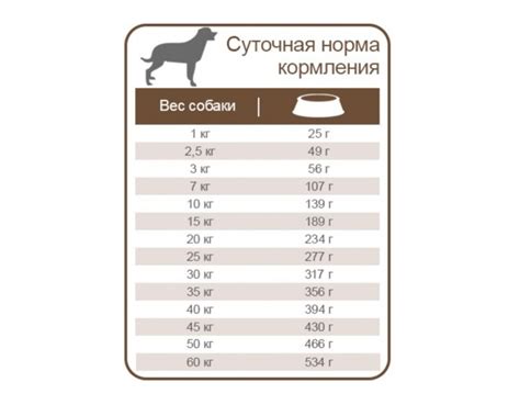 Правила кормления маленького питомца: частота, порции и режим питания