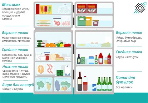 Правила организации и укладки продуктов в холодильнике