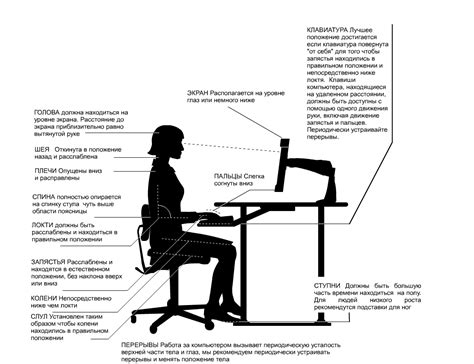 Правильная поза головы при работе за компьютером
