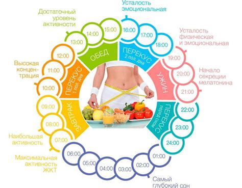 Правильное питание и режим активности