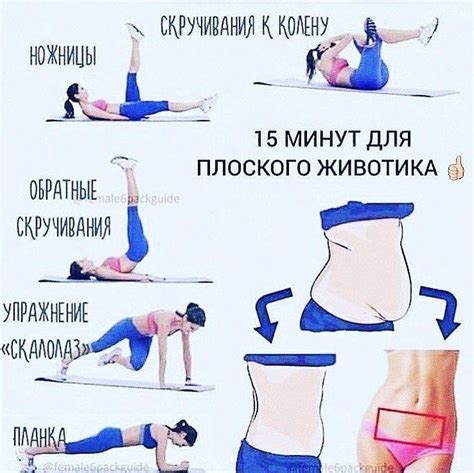 Правильное питание и физические упражнения для достижения плоского живота