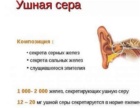 Правильный уход за ушами для предотвращения формирования серы и затруднения оттока серы