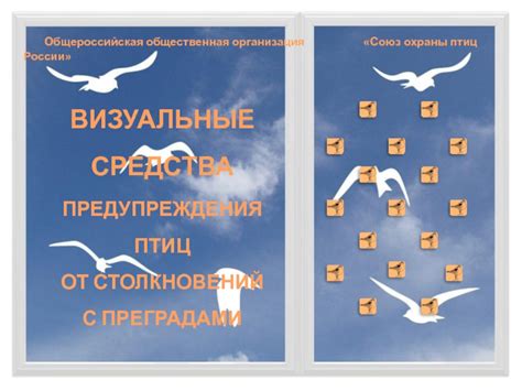 Практические рекомендации для предотвращения столкновений птиц с окнами