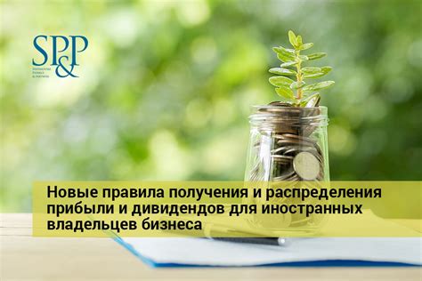 Практические рекомендации для увеличения прибыли от получения дивидендов