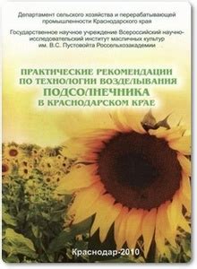 Практические рекомендации по временному исправлению утечки теплоснабжения в жилищных условиях